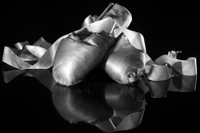 Latest Sale Business Directory Cultural Institutions The Royal Opera House La Bayadère- The Ninth Life Ballet Shoes
