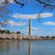 AEO Talks RECAP: CBC Small Business Power Luncheon 2025, 1/3